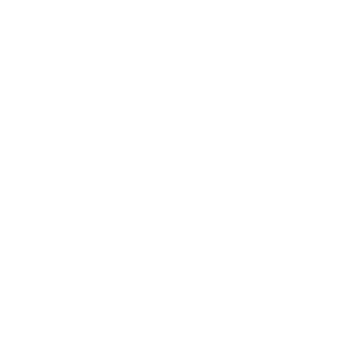 Mama Tried - Hoodie – 1924